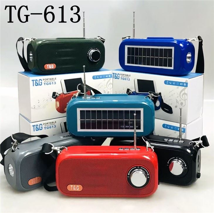 Tg-613 Speaker