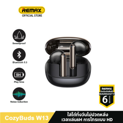 Remax  Cozy Buds W13 V5.3