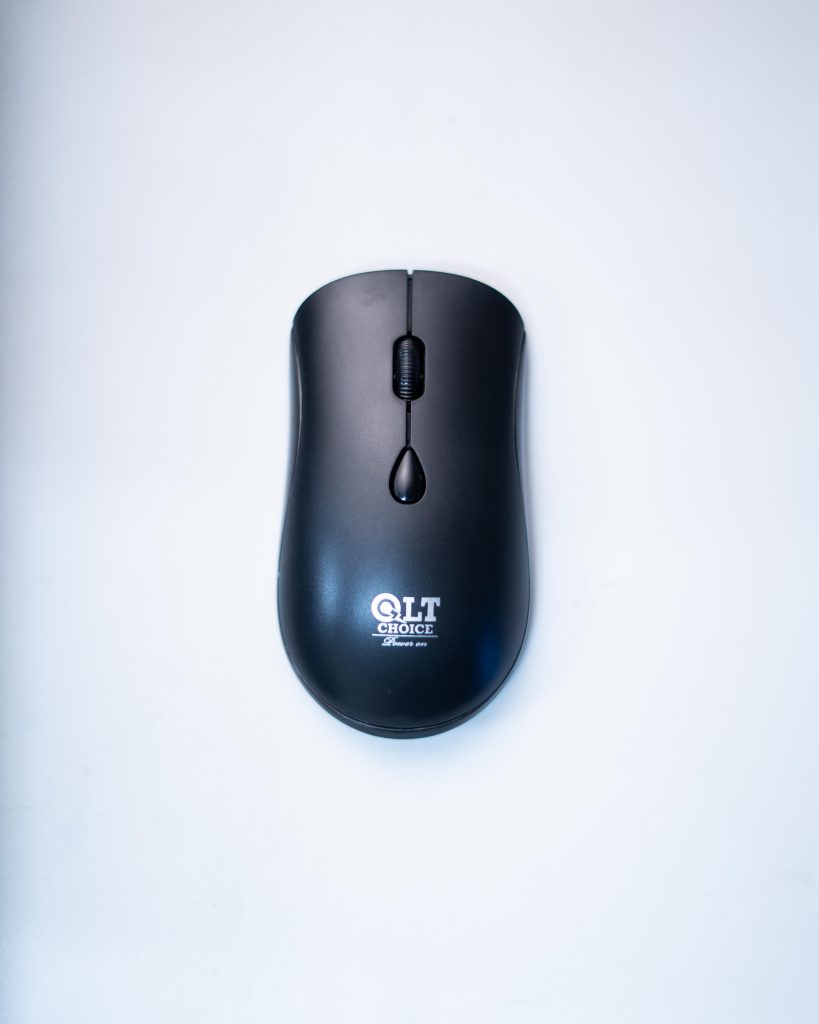QLT WBM-10 Rechargeable Mouse