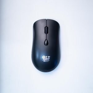 QLT WBM-10 Rechargeable Mouse